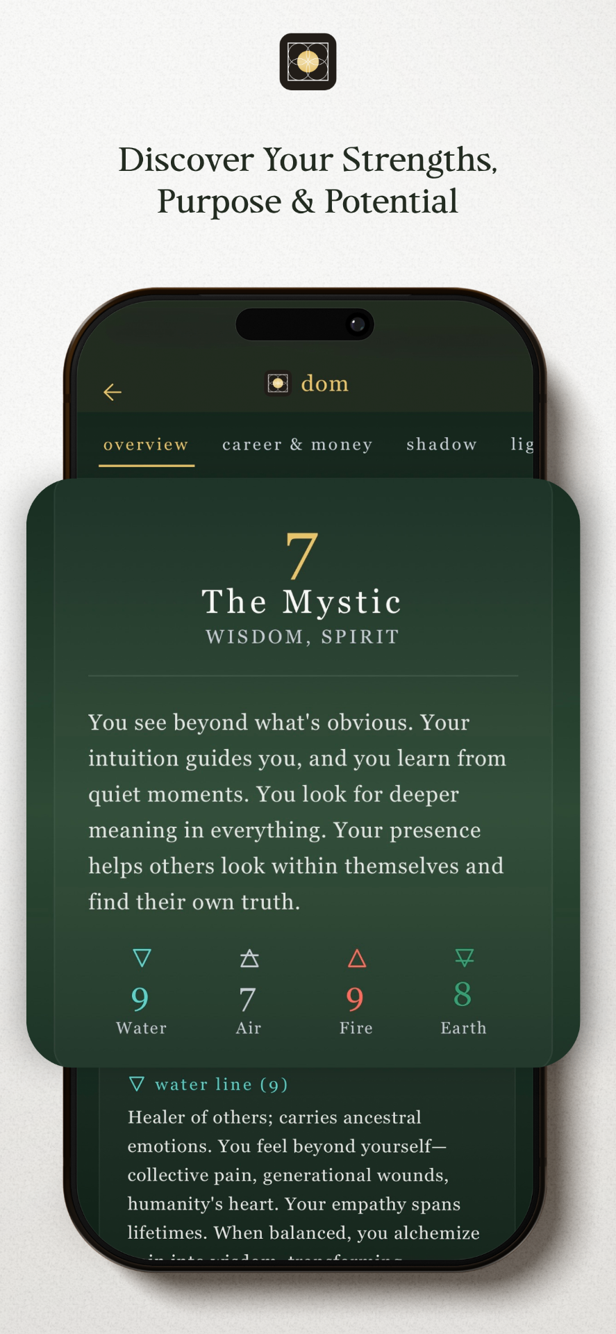 dom app – strengths and potential